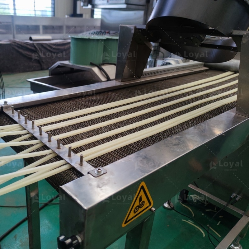 2D 3D Snacks Pellet Process Line