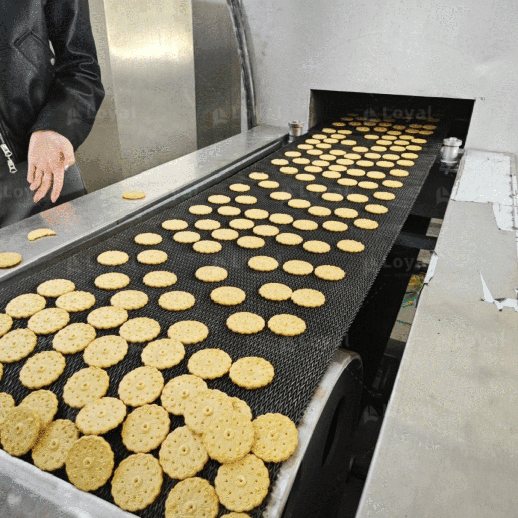 Biscuit Production Line