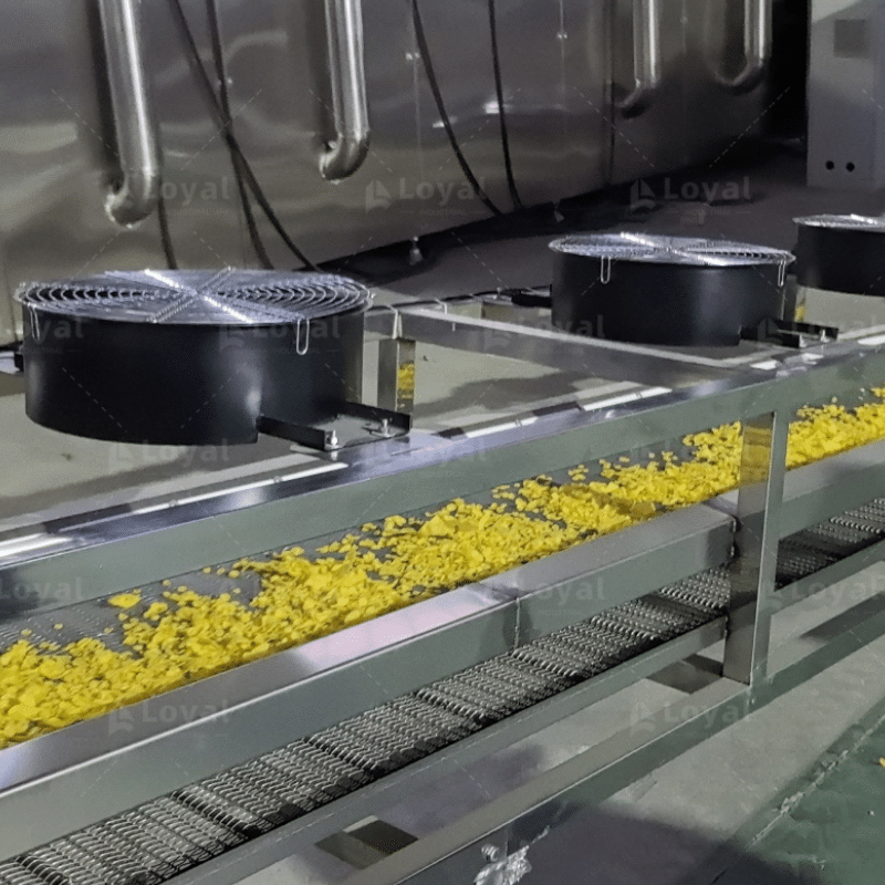 Cereal Manufacturing Equipment for Breakfast Cereal Production_