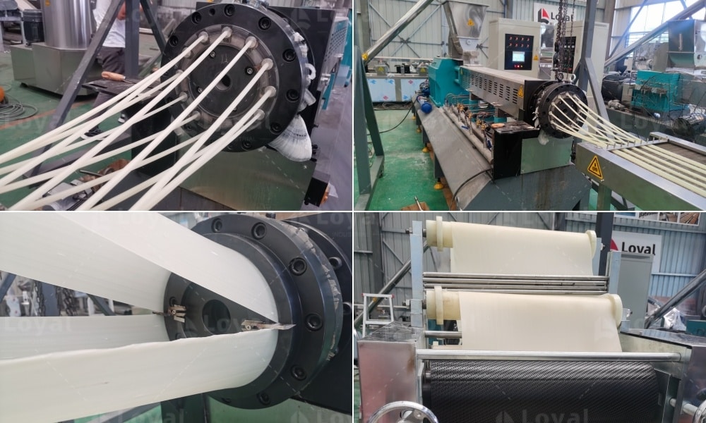 2D 3D Snacks Pellet Process Line - Loyal