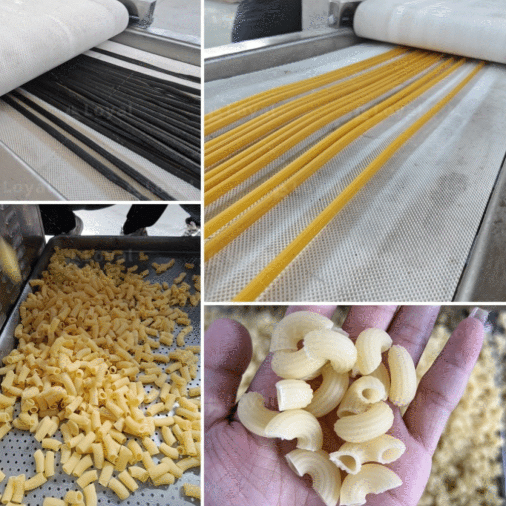 PastaMacaroni Production Line