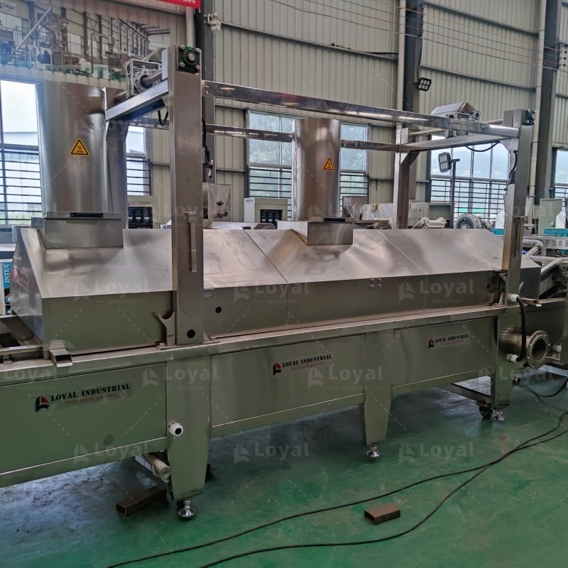 2D 3D Snacks Pellet Process Line - Loyal
