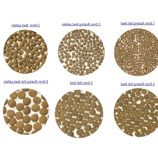 Sustainable Fish Feed Options