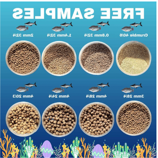 Understanding Fish Feed