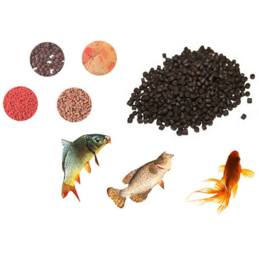Different Types of Fish Feed