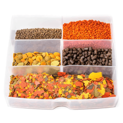 Feeding Techniques for Aquaculture