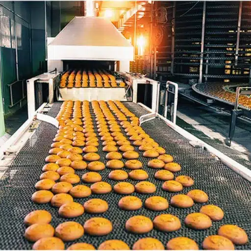 Choosing the Right Turnkey Food Production Systems