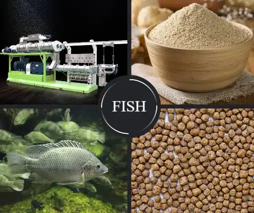 Types of Fish Feed Pellets