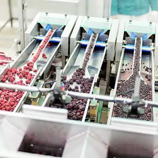 The Freezing Fruit Process: Step-by-Step Guide