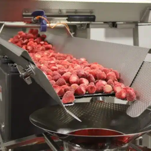 Introduction to Frozen Fruit Processing