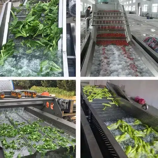 Setting Up Your Vegetable Washing Line