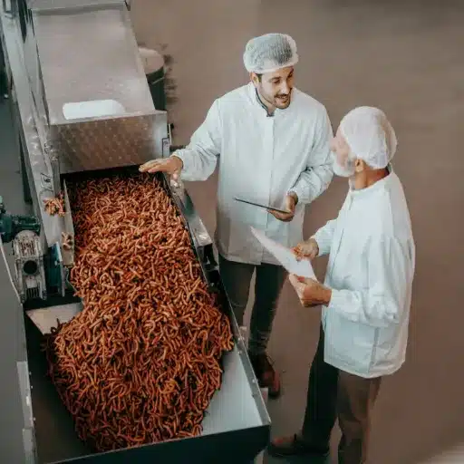 Challenges in Food Machinery Maintenance