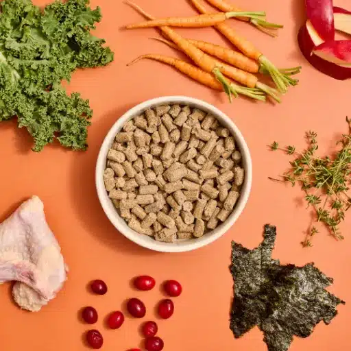 What Is Extruded Pet Food?