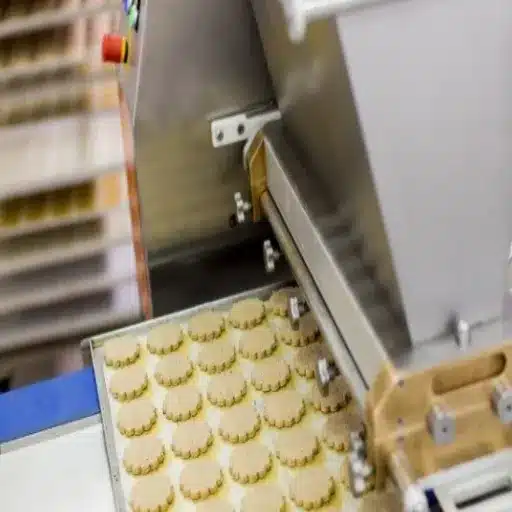 304 vs 316 Stainless Steel Food Equipment: The Complete Selection Guide for Food Manufacturers