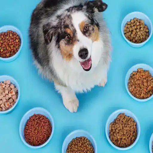 What Is Fresh Meat Inclusion in Pet Food?