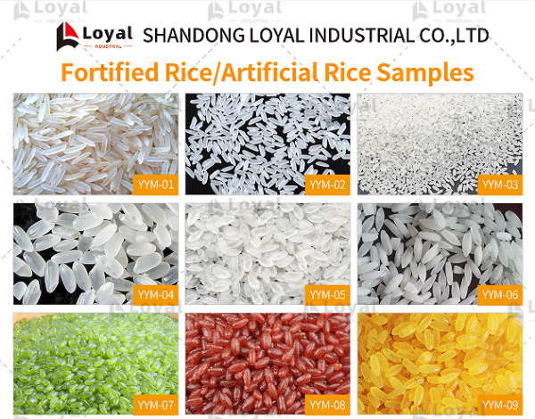 Nutritional Rice Production Line