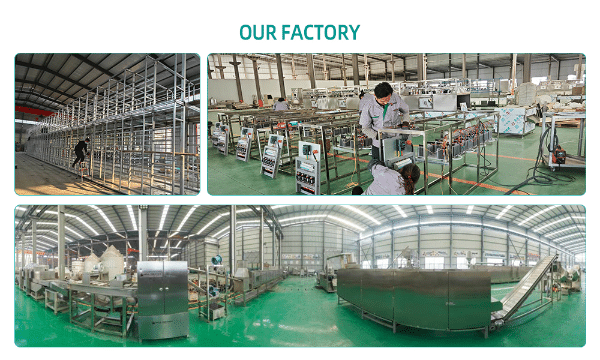 Nutritional Rice Production Line