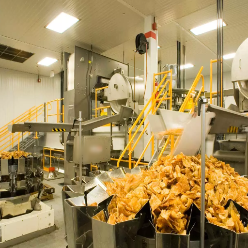 Food Production Line Automation in Action