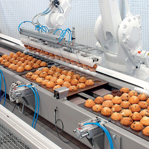 What Is Robotic Food Processing?